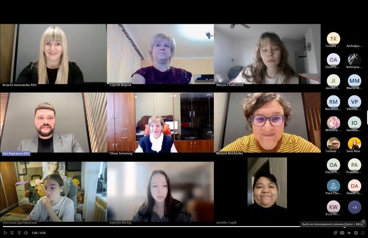 Expanded participant view during the ROAD2EU online kick-off meeting.